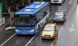 南京公交车爆料新闻视频,惊现惊人一幕，乘客目睹惊人真相！