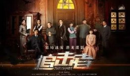 追击者电视剧在线观看,悬疑追捕，真相终将大白