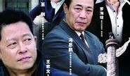 电视剧国家干部,权谋与担当的官场风云