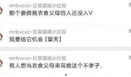 吃瓜爆料全集在线观看,揭秘娱乐圈幕后真相