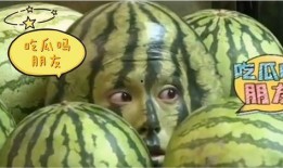 吃瓜比赛全部视频大全免费观看,免费观看全集，一网打尽瓜界风云