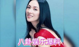 娱乐明星吃瓜直播视频下载,揭秘热门视频下载背后的故事