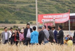 甘孜企业爆料事件最新,揭开背后真相与挑战
