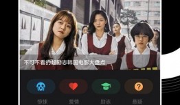app电视剧,穿越时空的浪漫传奇