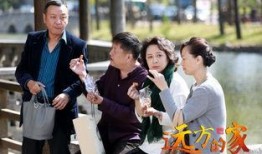 电视剧家,家族荣耀与命运纠葛