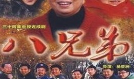 八兄弟电视剧在线观看,家族荣耀，血脉情深