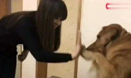 爆料娱乐的小恶魔,揭秘明星不为人知的一面
