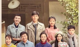 新一年又一年电视剧,光影流转——新一年又一年电视剧精彩回顾