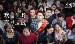 欢喜电视剧,笑对风雨，共谱幸福篇章