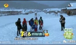 爆料雪乡宰客被行拘视频,行拘现场直击