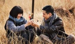 豆娘电视剧剧情介绍,穿越时空的母爱传奇