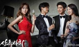 上流社会电视剧,上流社会的华丽角逐