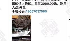 网友爆料视频,一幕幕令人震惊的幕后真相