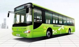 南京公交车爆料新闻视频,惊现惊人一幕，乘客目睹惊人真相！