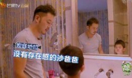 杨爸卫生间爆料视频,一场家庭隐私的意外曝光