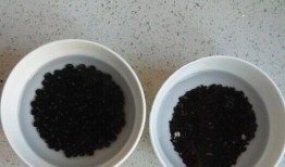 黑豆核桃芝麻豆浆,黑豆核桃芝麻豆浆，健康生活新选择