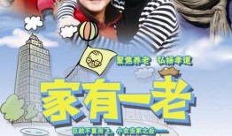 电视剧家,家族荣耀与命运纠葛
