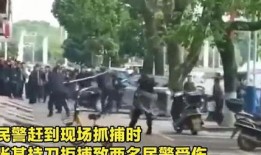 刑警爆料霸凌事件视频,视频曝光惊人一幕