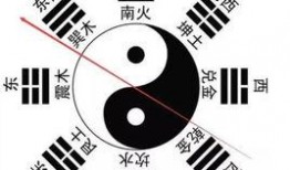 八卦爆料玩法视频大全教程,八卦玩法视频大全教程深度解析