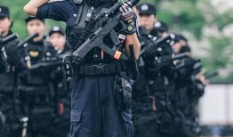 女特警电视剧,守护正义的铿锵玫瑰