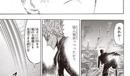 一拳超人重制版漫画,重制版漫画：英雄的日常与挑战的极限