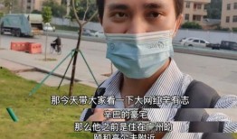 爆料网红辛巴视频大全,揭秘网红辛巴的多面人生