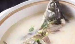 落汤鱼最新爆料视频下载,幕后真相大起底！