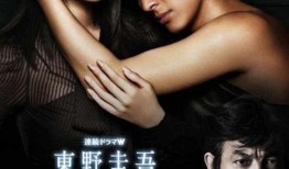 幻夜电视剧,悬疑迷雾中的情感纠葛