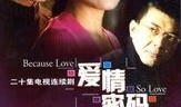 爱情密码电视剧全集,解码情感迷局