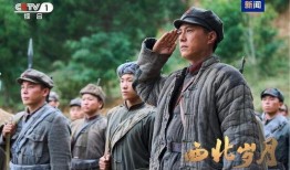 西北电视剧,穿越时空的传奇故事