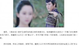 娘妻电视剧演员表,实力派明星齐聚一堂，演绎感人至深的家庭故事