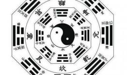 八卦爆料玩法视频大全教程,八卦玩法视频大全教程深度解析