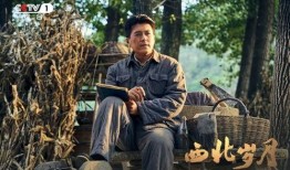 西北电视剧,穿越时空的传奇故事