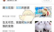 腾讯新闻爆料公众号,揭秘娱乐圈惊人内幕，独家爆料震惊业界！