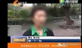 张大妈爆料视频大全集下载,揭秘生活百态，笑料横生