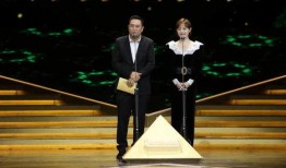 电视剧奖,年度电视剧奖盛典精彩回顾