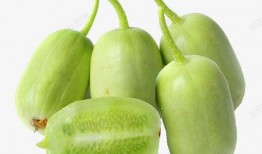 小七爆料甜瓜视频下载大全,甜瓜视频下载大全，海量资源一网打尽！