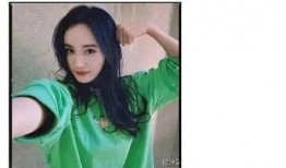 娱乐圈吃瓜小程序有哪些,揭秘明星幕后故事，一键掌握娱乐资讯速递