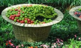 吃瓜群众第二季免费看,免费畅享，揭秘娱乐圈风云变幻