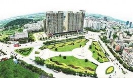 湖北蔡甸区爆料新闻,社区紧急应对突发事件，居民生活秩序稳定