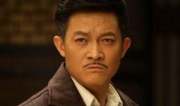 杨志刚主演的电视剧,传奇英雄的烽火岁月