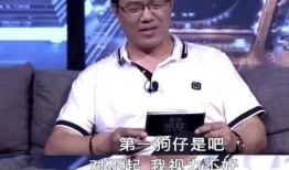 狗仔卓伟爆料汪峰视频,娱乐圈再掀波澜