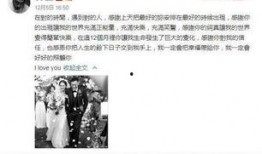 718娱乐事件吃瓜,揭秘娱乐圈背后的真相与风波