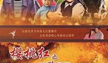 樱桃红之袖珍妈妈电视剧,温馨家庭情感之旅