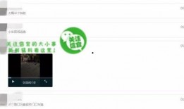 网友爆料视频,一幕幕令人震惊的幕后真相