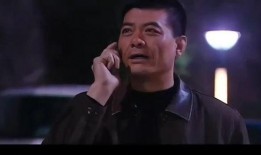 杨志刚主演的电视剧,传奇英雄的烽火岁月