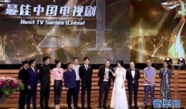 电视剧奖,年度电视剧奖盛典精彩回顾