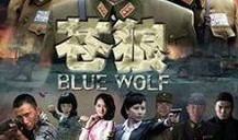 苍狼电视剧演员,实力派齐聚，演绎热血传奇