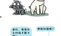 二胎漫画,欢乐与挑战并存的家庭漫画故事