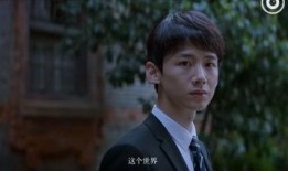 未生 电视剧,职场奋斗与人生抉择的青春交响曲